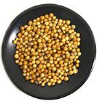 Whole Coriander Seed Example